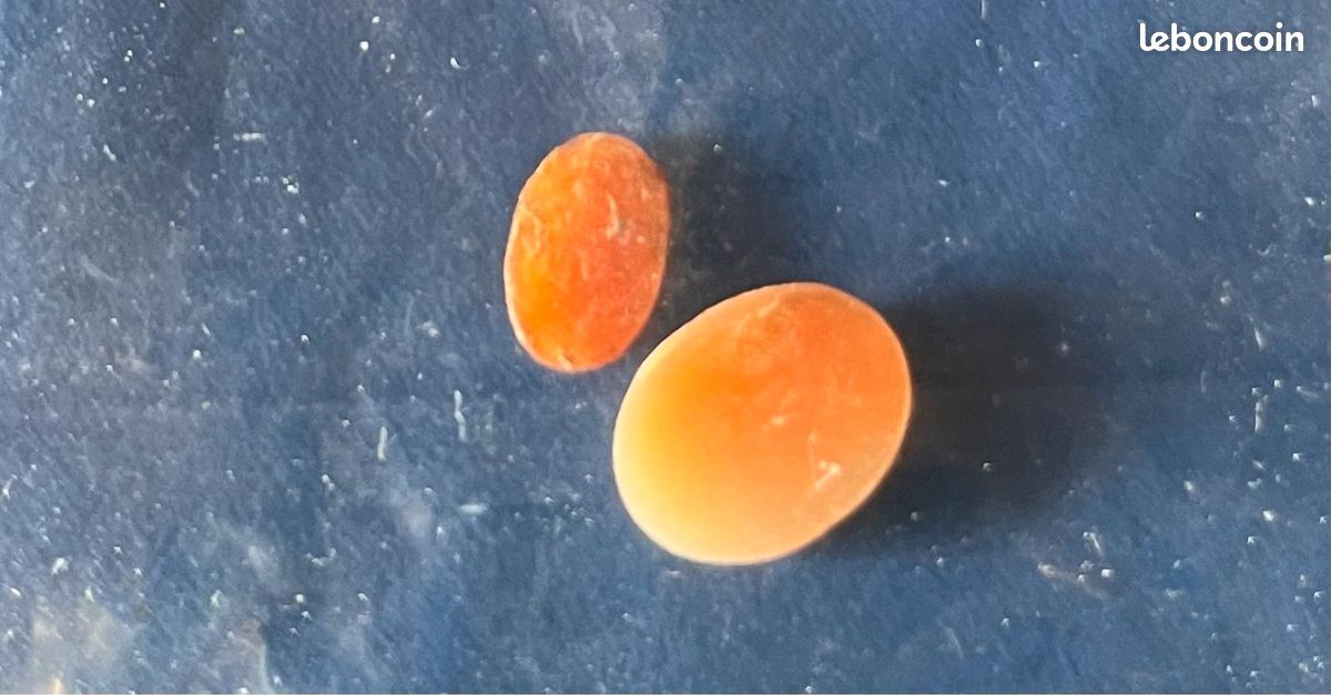2 micro camées (image 2)