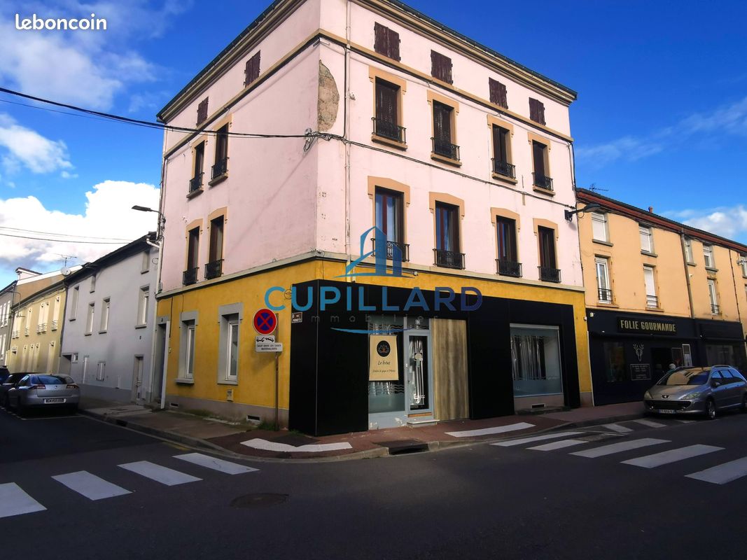 Immeuble 10 pièces 250 m² · à Roanne · 250 m² · 230 000 €