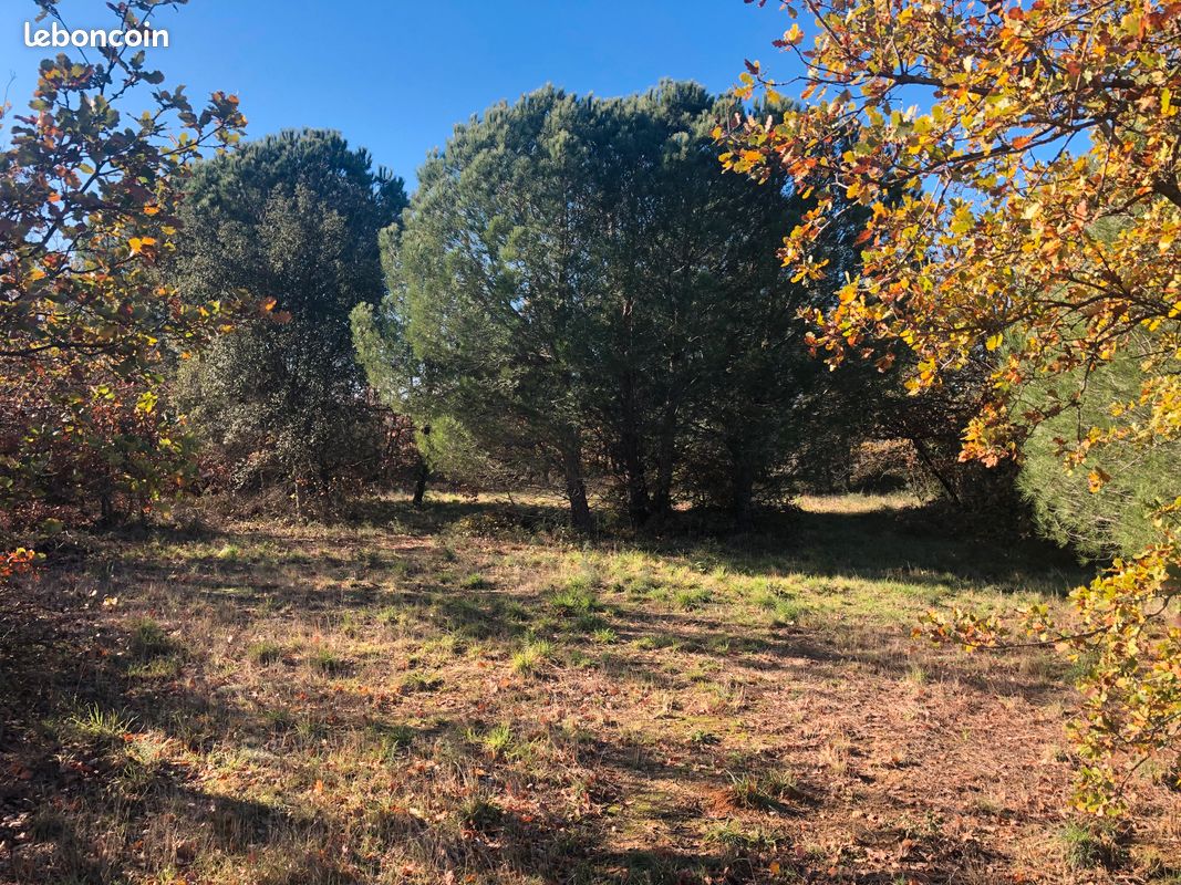 Terrain agricole - 4 hectares constructible pour une activité agricole · à Villemolaque · 110 000 €
