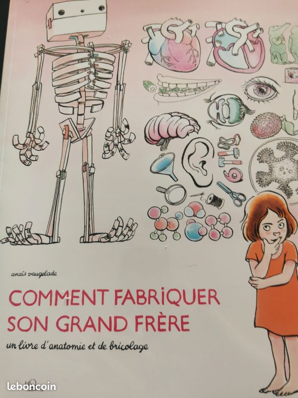 Livre jeunesse '' comment fabriquer son grand frère '' (image 2)