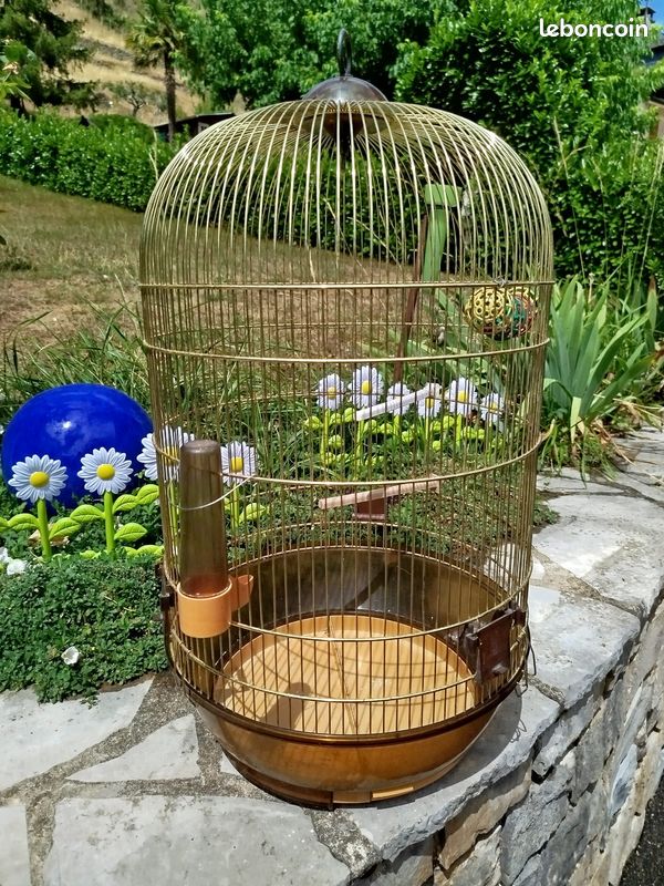 Cage oiseaux (image 3)