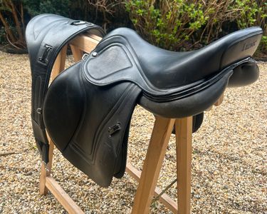 Celle pour cheval d'occasion - Accessoires animaux Celle pour cheval d'occasion - Accessoires animaux