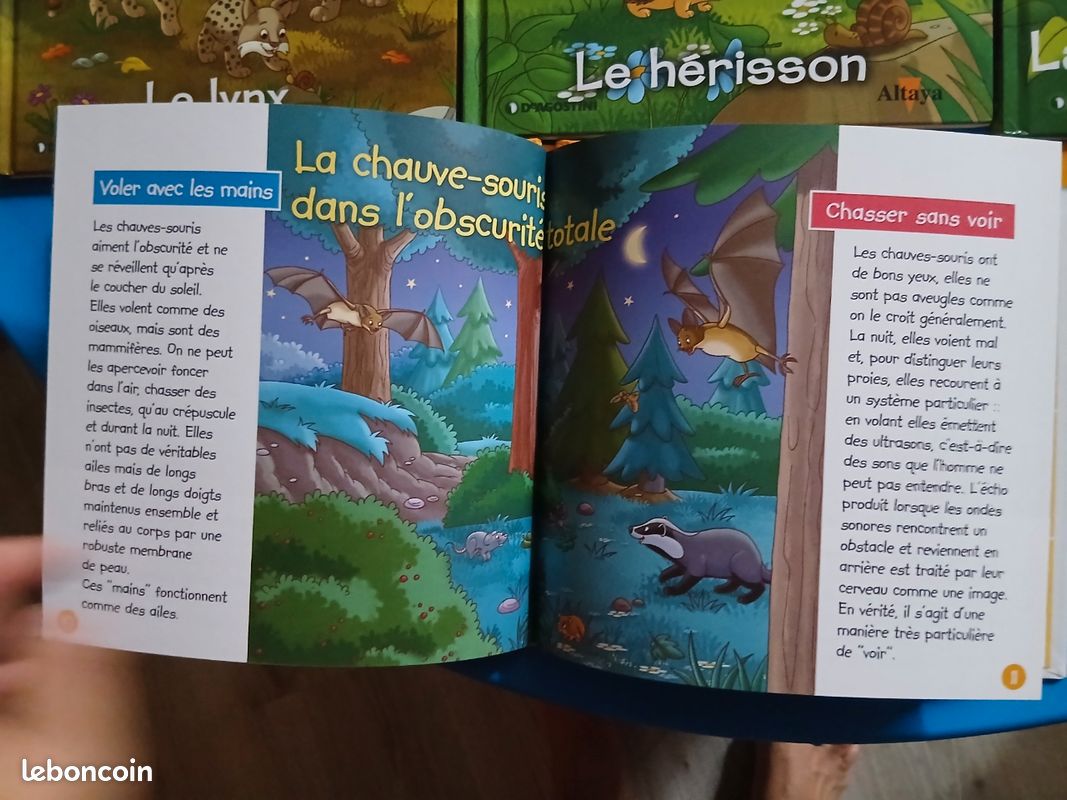 URGENT lot livres enfants (image 3)