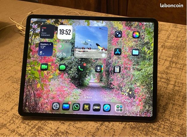 IPad Pro 9,7 Pouces Wi-Fi 128 Go (4e Génération) – Bon état, Occasion