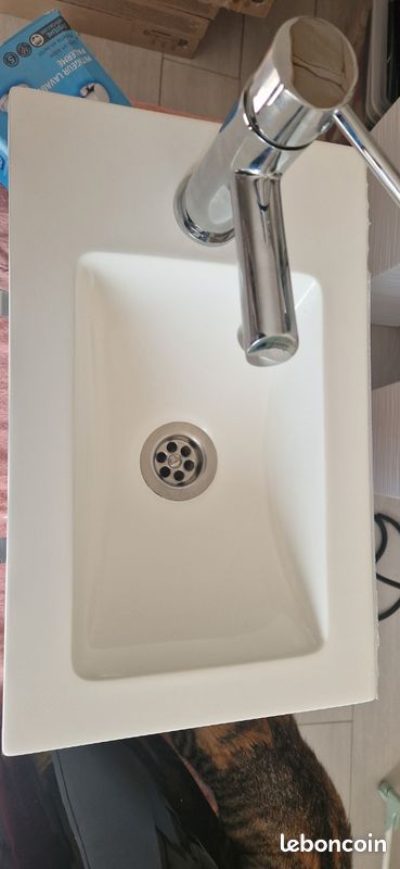 Meuble vasque et mitigeur (image 5)