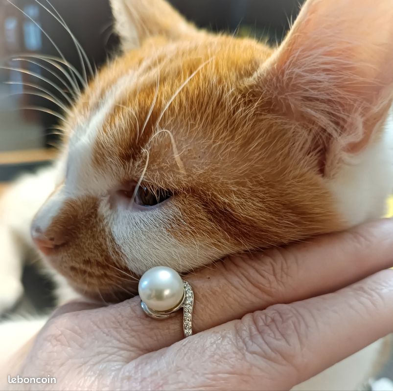 Bague Argent 925 Avec Perle De Tahiti - Taille 54, Neuve Avec étiquettes, Bijou élégant Et Naturel