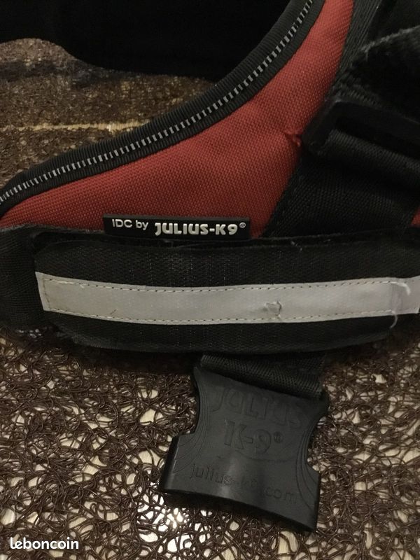 Harnais julius k9 idc power rouge (image 3)