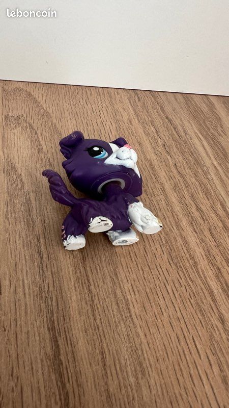 LPS Littlest petshop pet shop chien chat européen dogue colley cat dog rare | UK