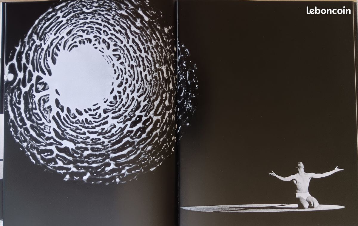 Livre d'art sur "Danser le XX è siècle" (image 7)