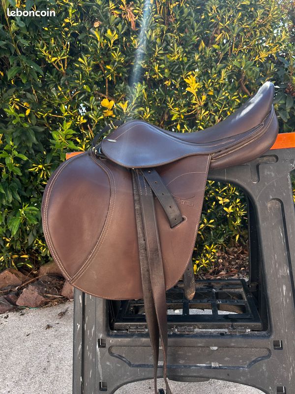 John Whitaker: A life in the saddle