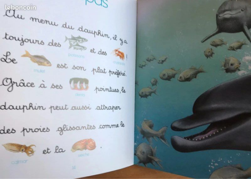 Livre Mes mini Docs Le dauphin (image 3)