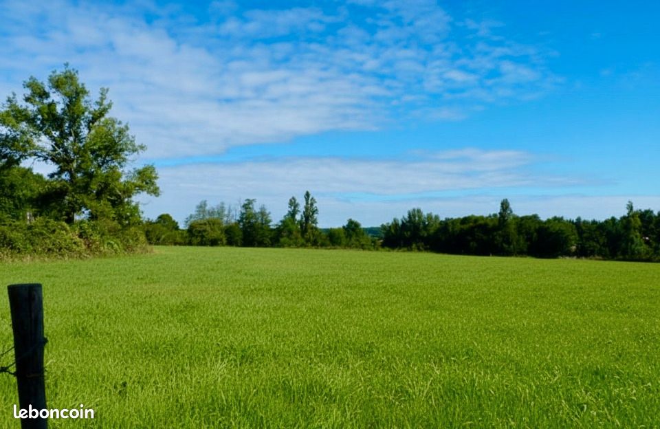 Terrain 985 m² Salleboeuf · 175 000 €