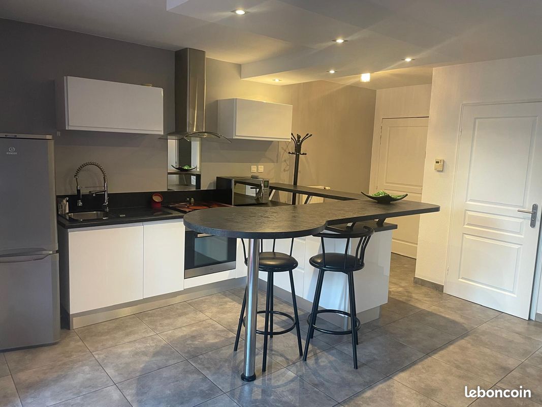 T3 meublé 59m² saint priest en jarez garage et place de parking (image 2)