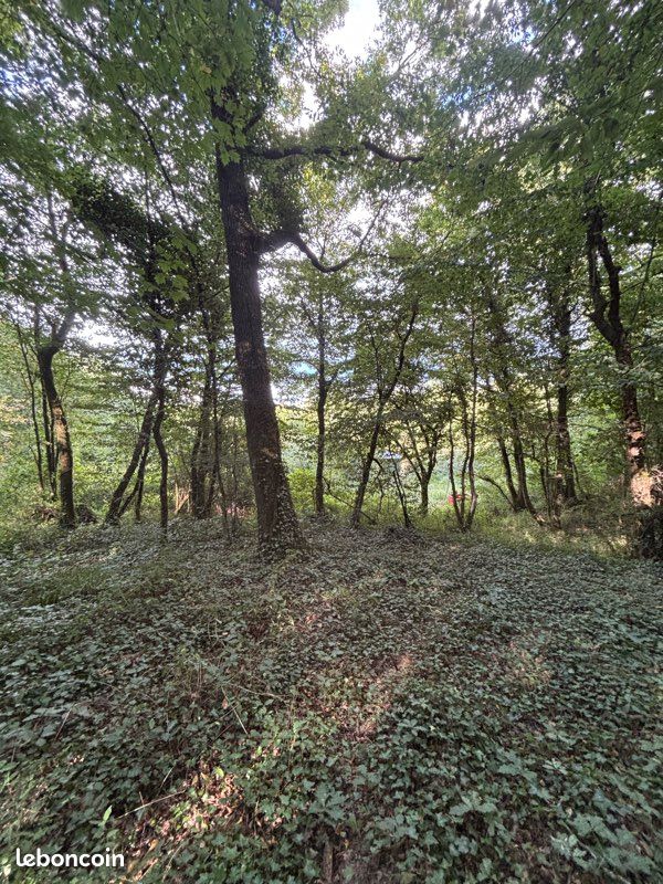 Parcelles bois 37560 m2 · à Gontaud-de-Nogaret · 19 500 €