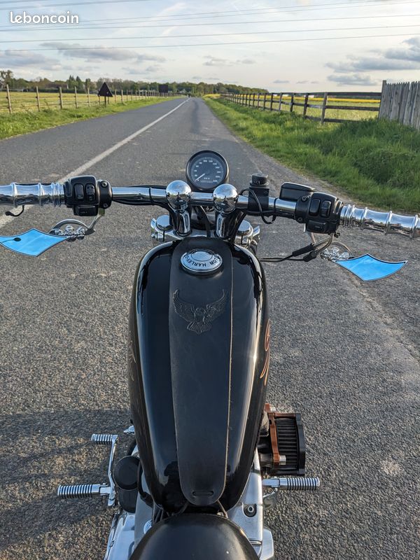 Sportster 883 (image 3)