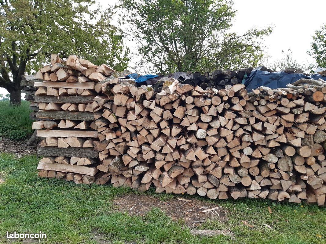 Bois de chauffage (image 1)