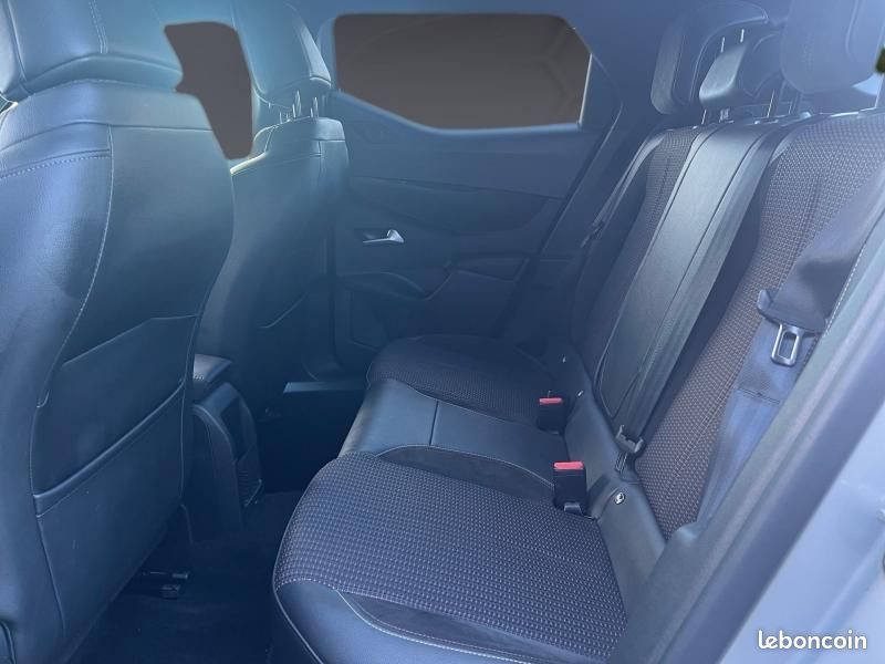 Ds DS 3 Crossback E-Tense Performance Line + 4cv (image 13)