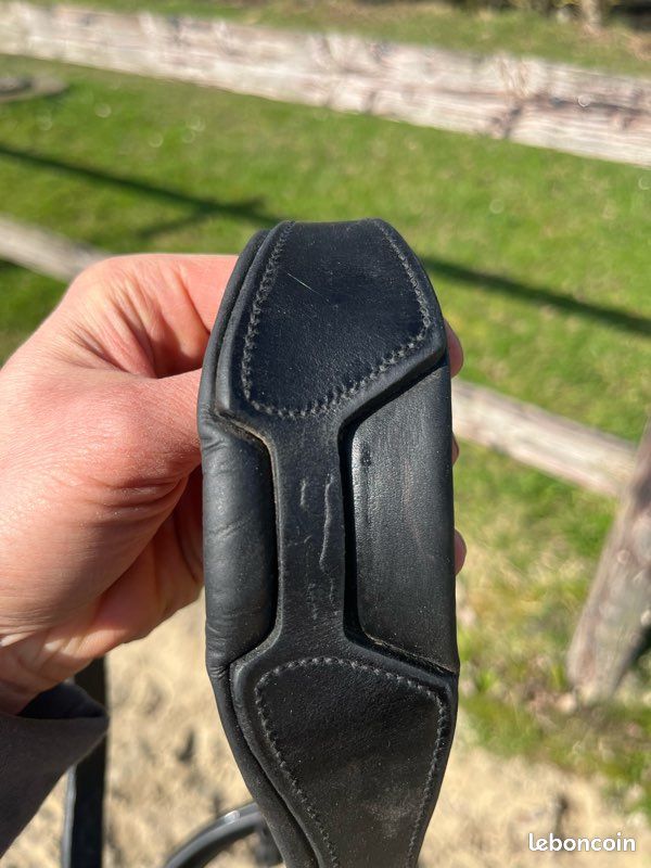 Bride en cuir noir royal pleine épi chevaux Durable confortable anatomique Snaff