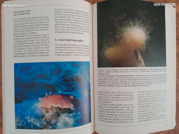 Cours de photographie sous marine (image 2)
