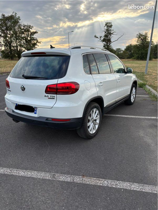 Tiguan 4Motion (image 2)