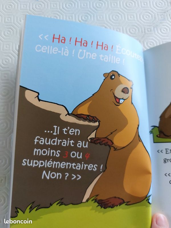 Livre enfant ZZZ la marmotte (image 2)