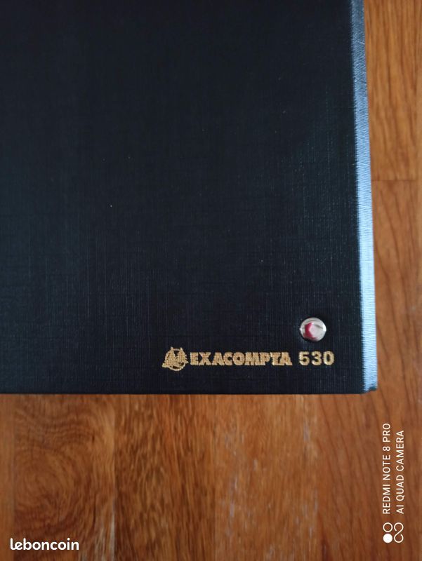 Exacompta 5419E - 100 Feuilles Numérotées 1 à 100 Pour Reliures Juridiques A4 - Papier Clairefontaine 110g