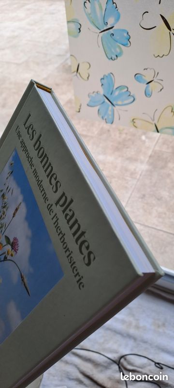 Les bonnes plantes, une approche moderne de l herboristerie (image 4)