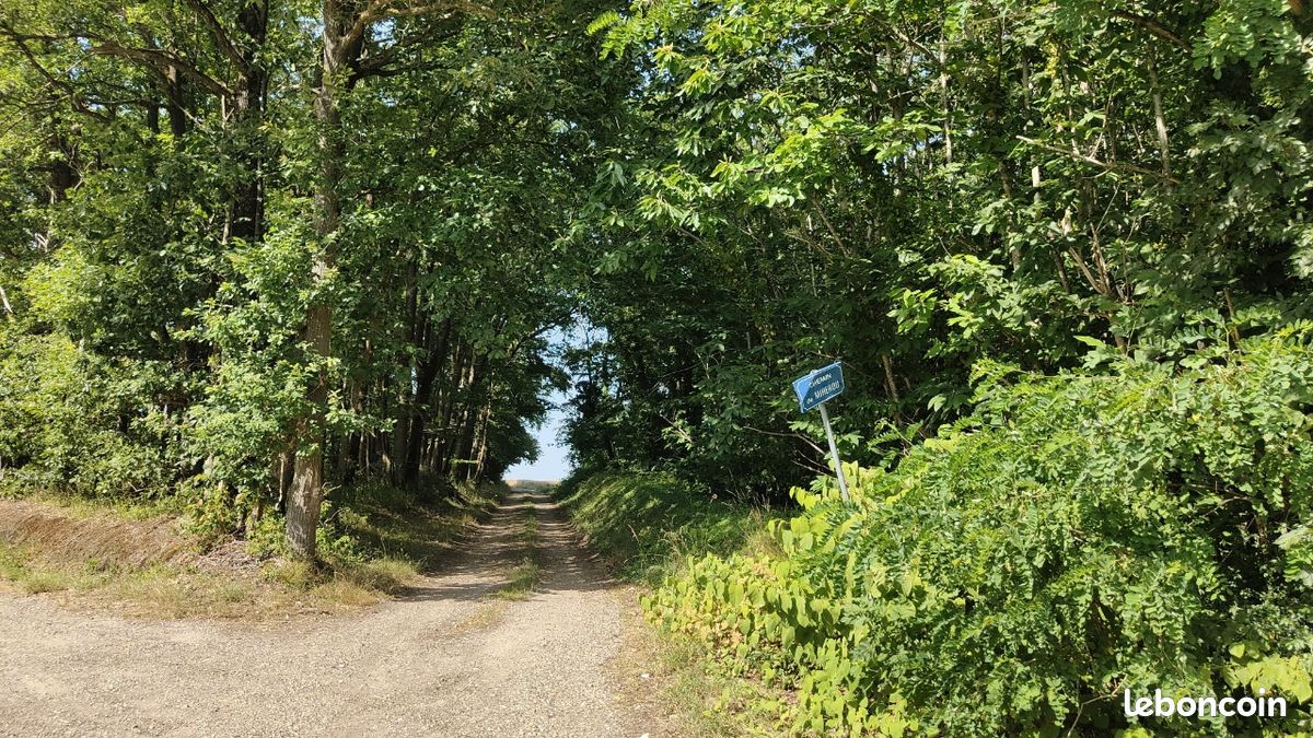Terrain boisé Hargeville 78 · à Arnouville-lès-Mantes · 15 000 €
