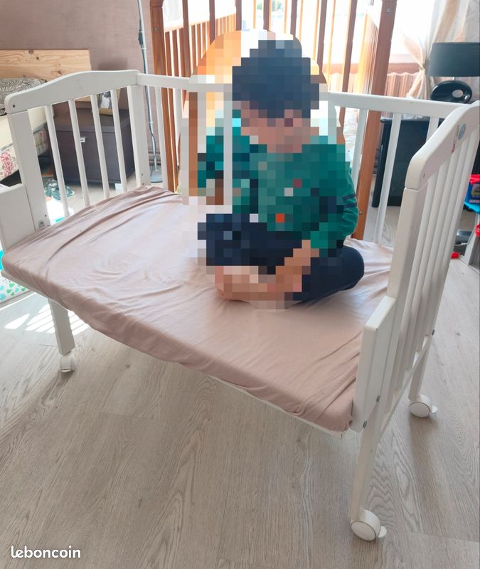 Cododo en bois (image 5)