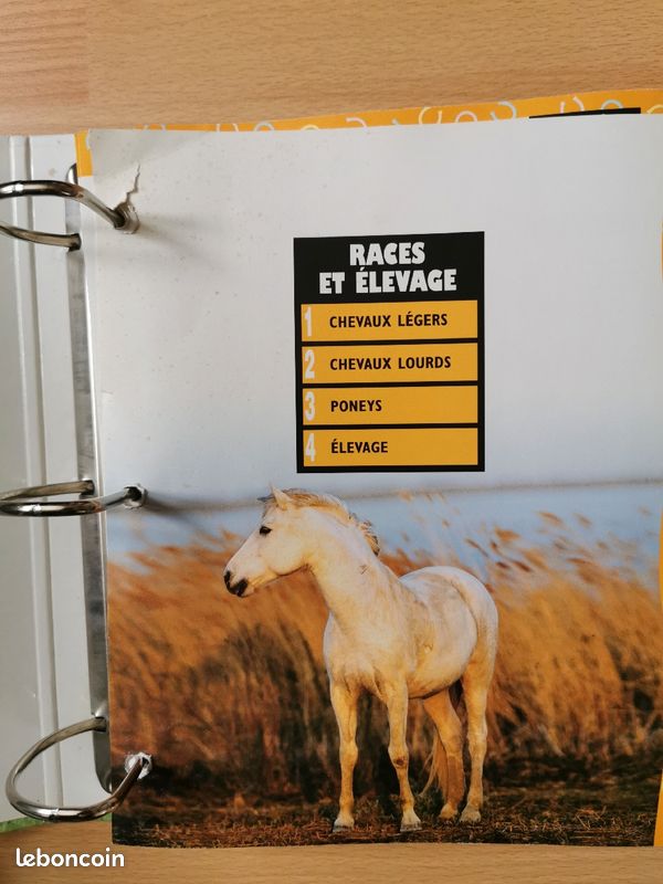 Équitation, La passion du cheval, Éditions Atlas (image 5)