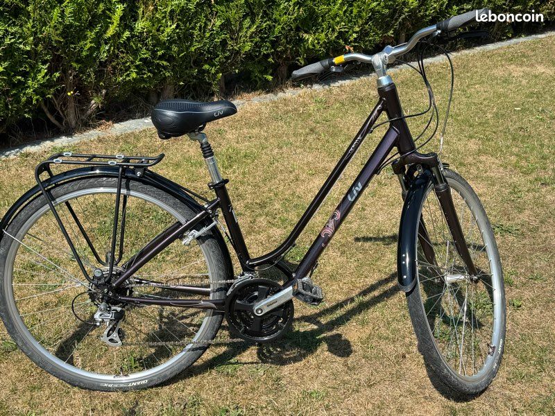 foldable electric bicycle Volador: 350W Folding eBike with 20 mph Speed bday-bucket:20-40% Ruff Life 101 Airline Color:Beryl Blue a durable steel fork