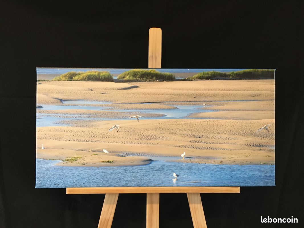 Photos imprimées sur toile cadre bois (image 18)