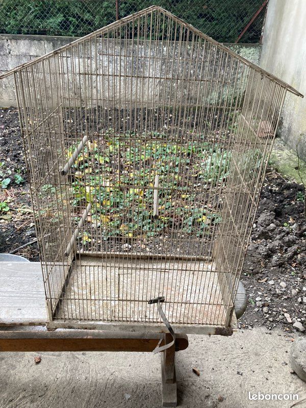 Cage à oiseaux (image 1)