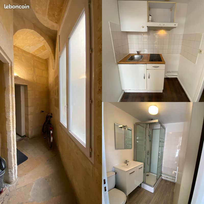 Appartement duplex T2 bis / 2 chambres distinctes / quartier Capucins-Victoire - Bordeaux 33000 Saint-Michel Nansouty Saint-Genès (image 3)