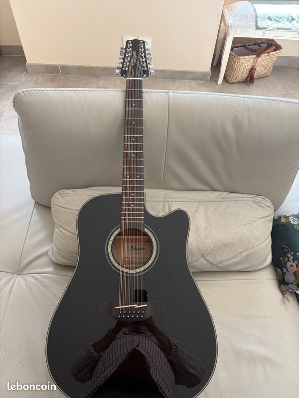 Guitare Takamine 12 cordes (image 3)