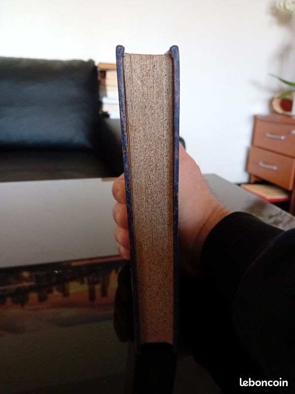 Victor Hugo, L'ANNEE TERRIBLE, Hachette et Cie, 1883 (image 4)