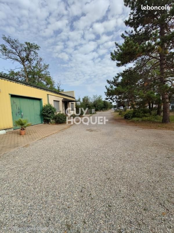 Terrain Richwiller · 389 000 €