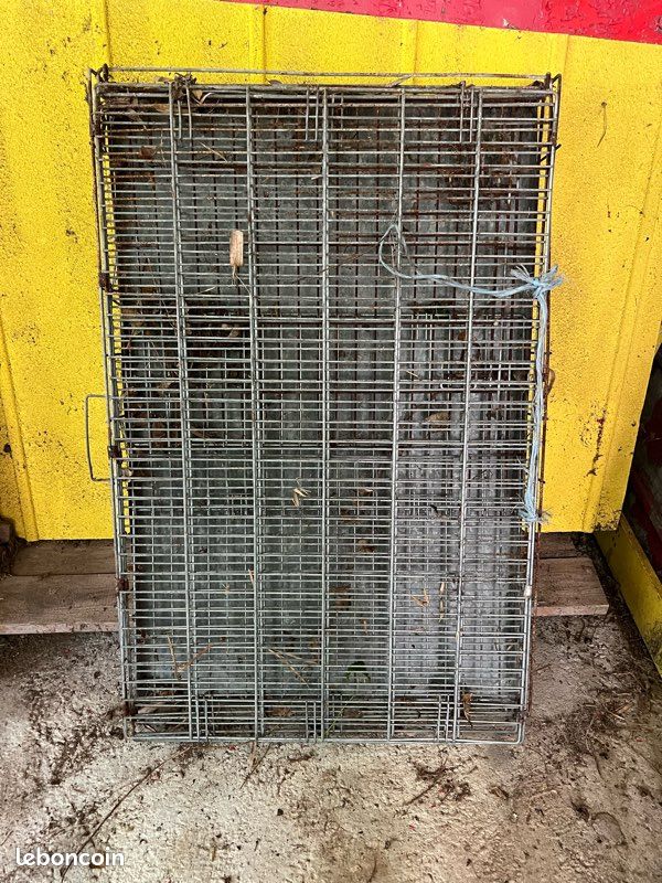 Cage chien (image 1)
