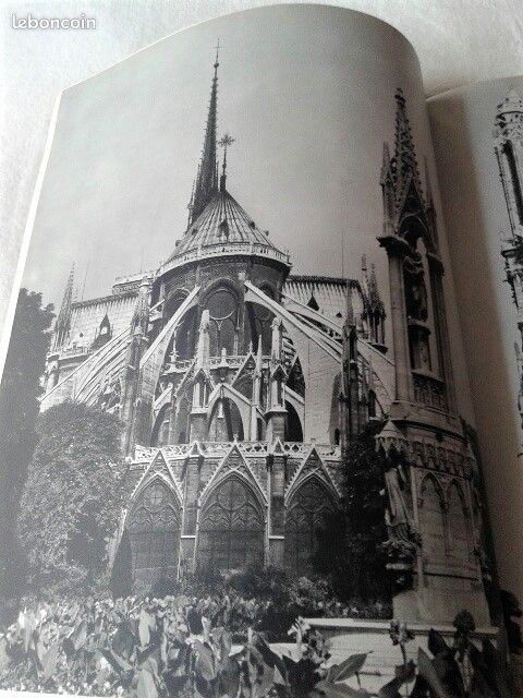 NOTRE DAME DE PARIS - Pierre-Marie AUZAS (image 6)