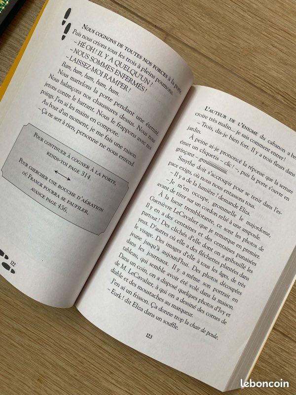 2 livres dont vous êtes le héros (8-11 ans) (image 3)