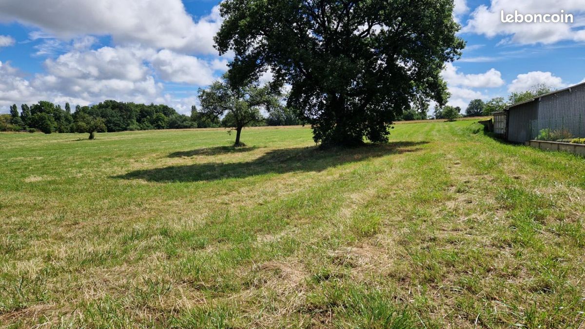 Terrain 4 633 m² La Chapelle Blanche Saint Martin · à La Chapelle-Blanche-Saint-Martin · 29 900 €