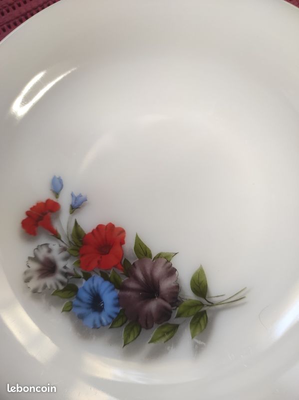 6 Assiettes Creuses Arcopal Service Petunia - Motif Floral - Diamètre 21-25 Cm - Occasion Bon État