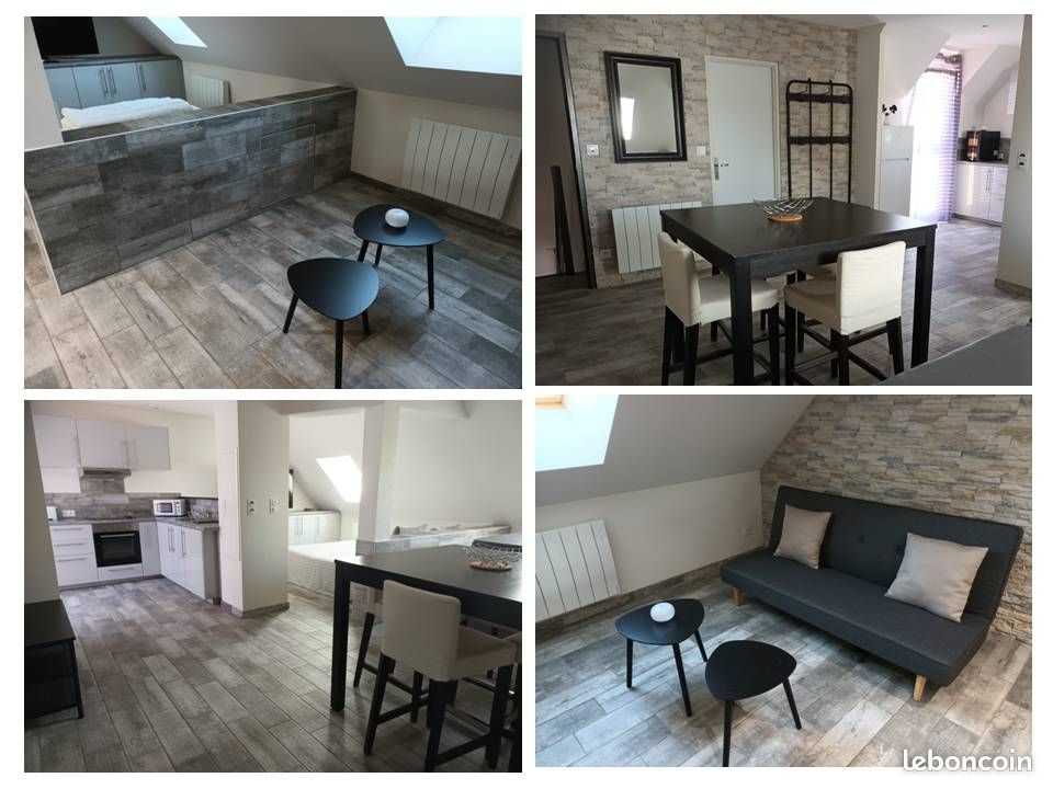Tres joli loft entierement meuble (image 1)