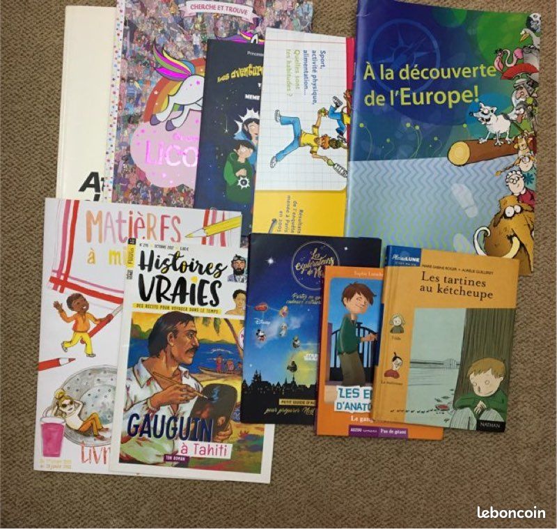 Lot lecture enfant livres et livrets pédagogiques – de 7 à 11 ans - le lot de 10 articles = 6 euros (image 1)