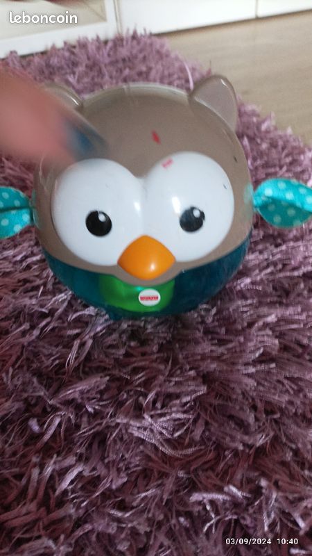 Culbute hibou (image 2)