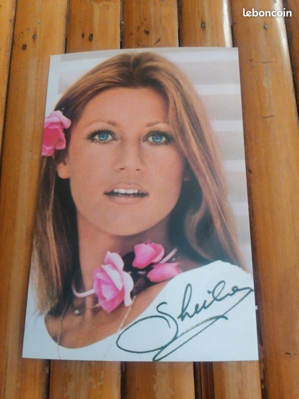 CP promo presse Sheila (image 2)