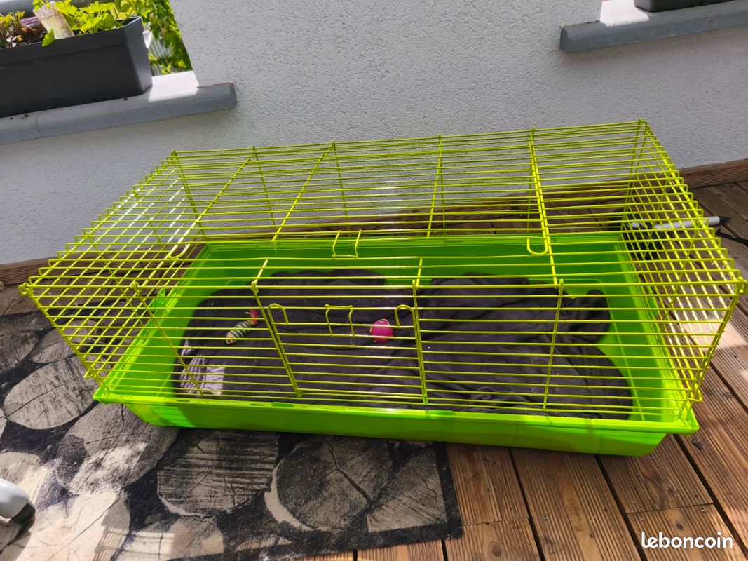 Cage a (image 3)