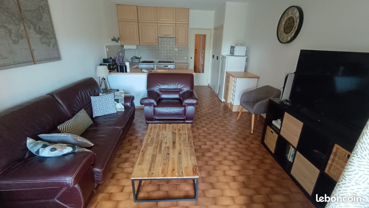 Appartement Saint-Cyprien plage (image 4)