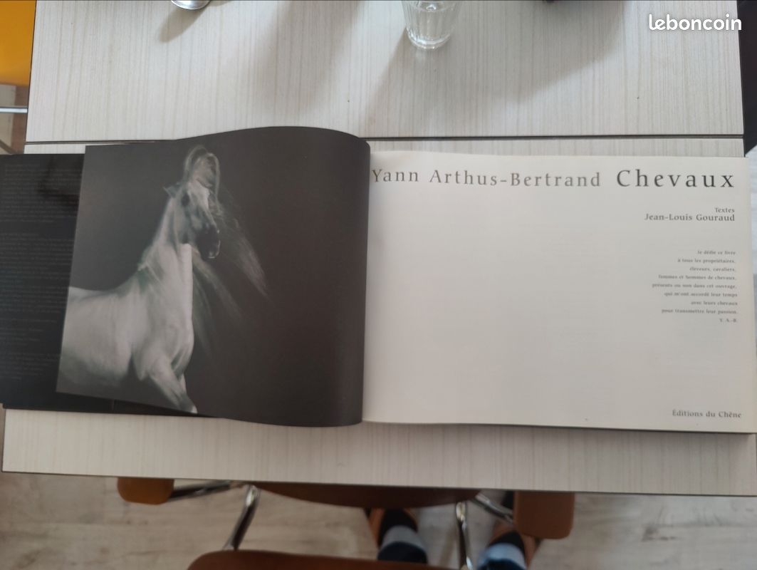 Chevaux par Gouraud jean-louis, arthus-bertrand éditions du chêne (image 6)