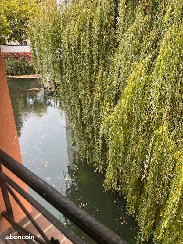 Appartement a louer dreux - 2 pièce(s) - 50 m2 - Surfyn